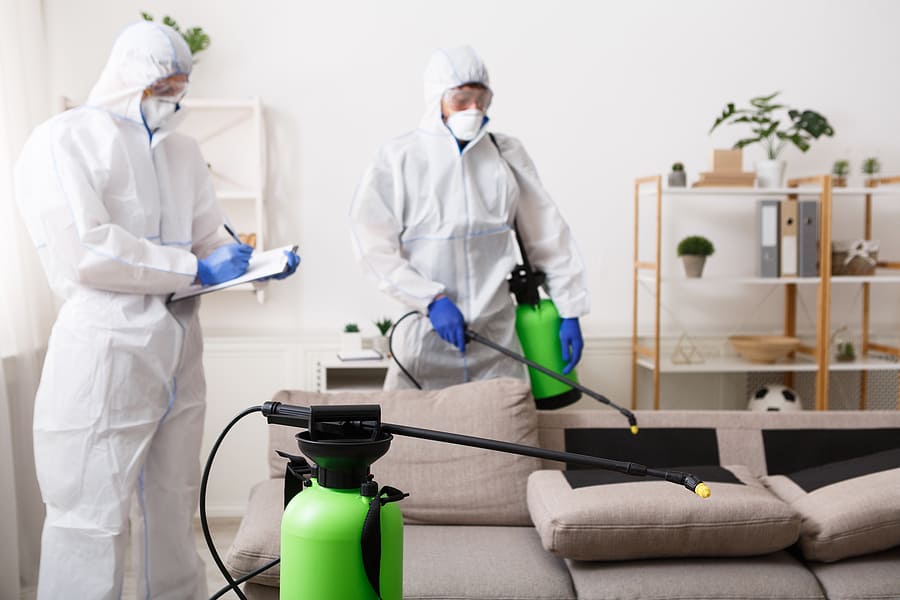 How Deep Cleaning Reduces The Possibility of Infection