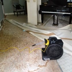 flood cleaning services