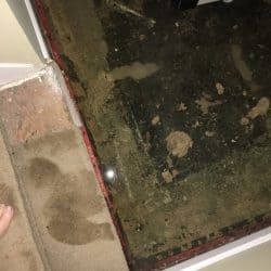 Your Foundation and Water Damage