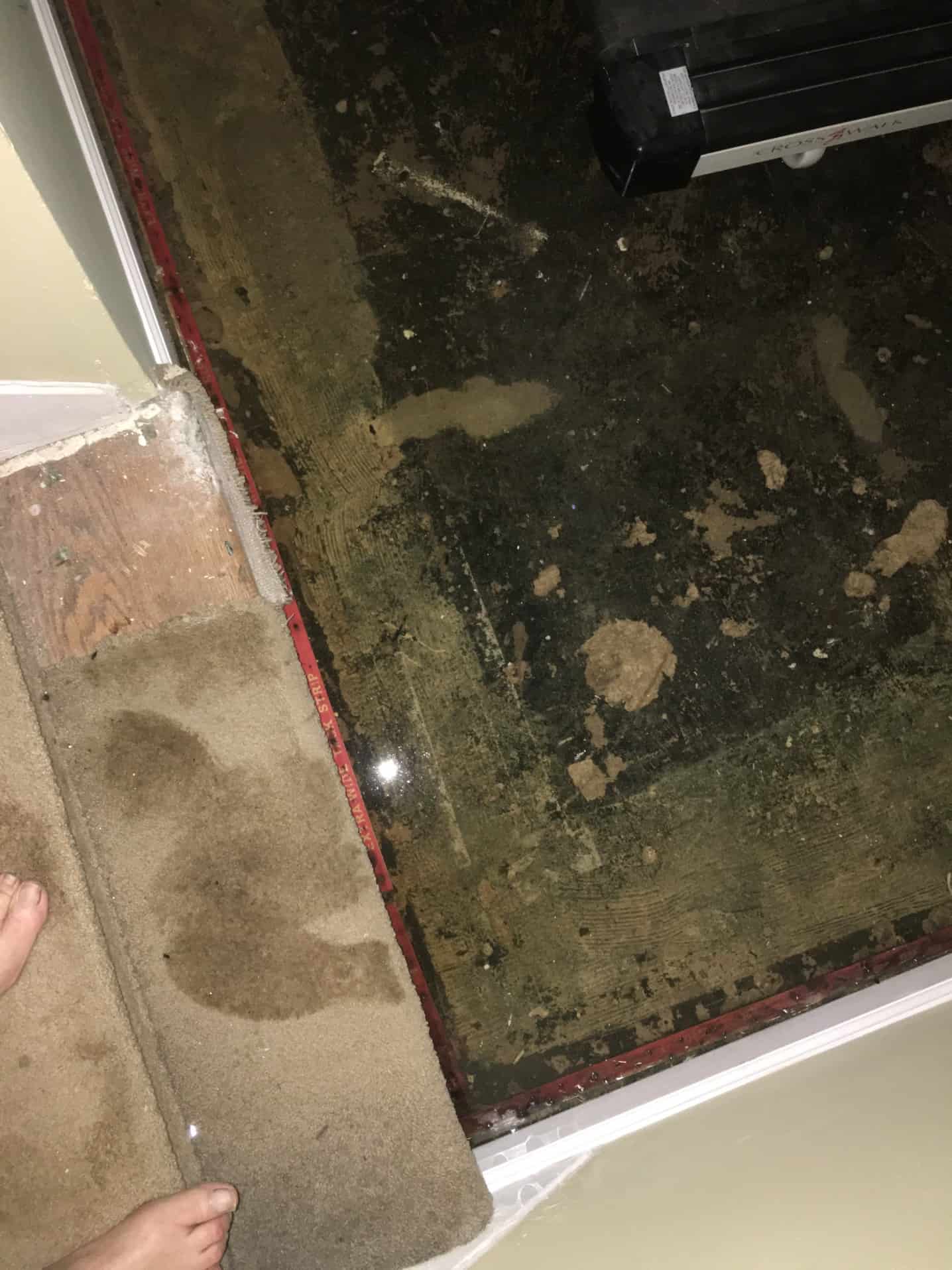 Your Foundation and Water Damage