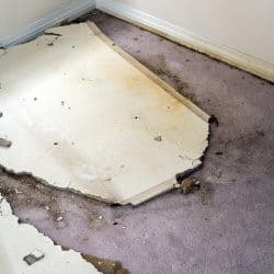 Water Leaking Damaged Plasterboard And Carpet
