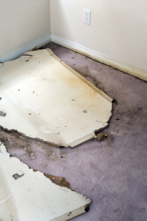 Water Leaking Damaged Plasterboard And Carpet