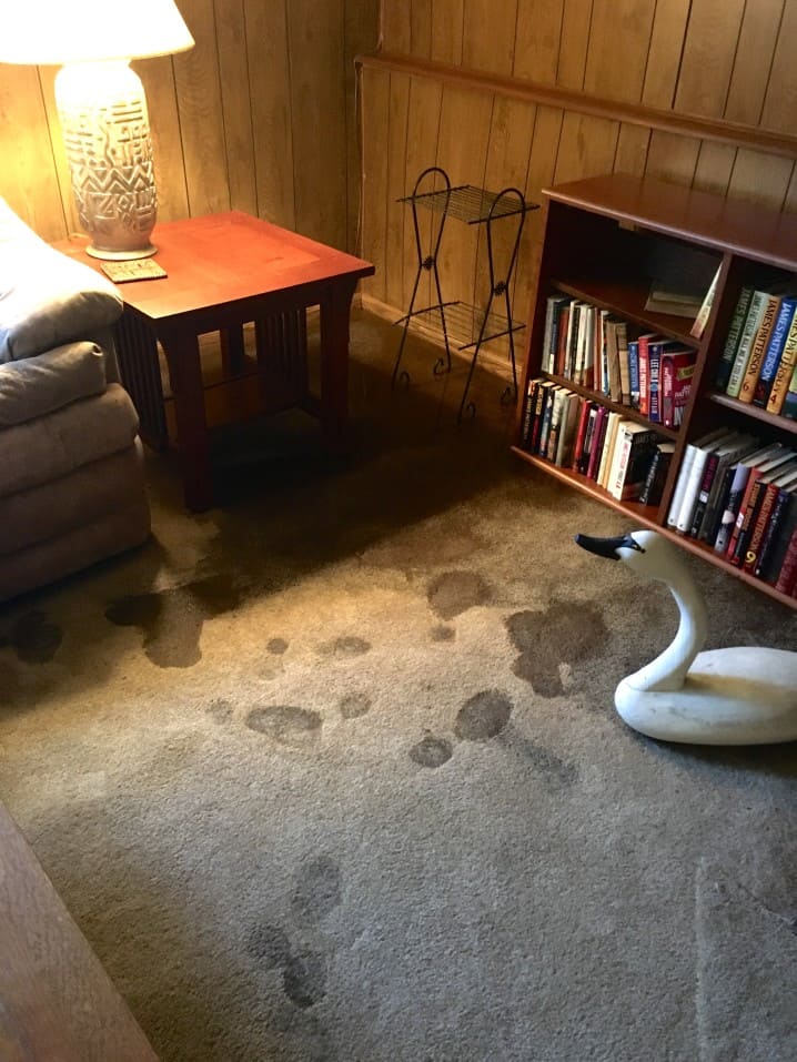 Dealing With Water Damage Understanding Your Insurance Coverage