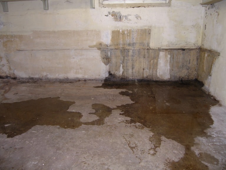 Finding A Good Basement Water Damage Cleanup Service Near You