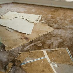 Water Leaking Damaged Home