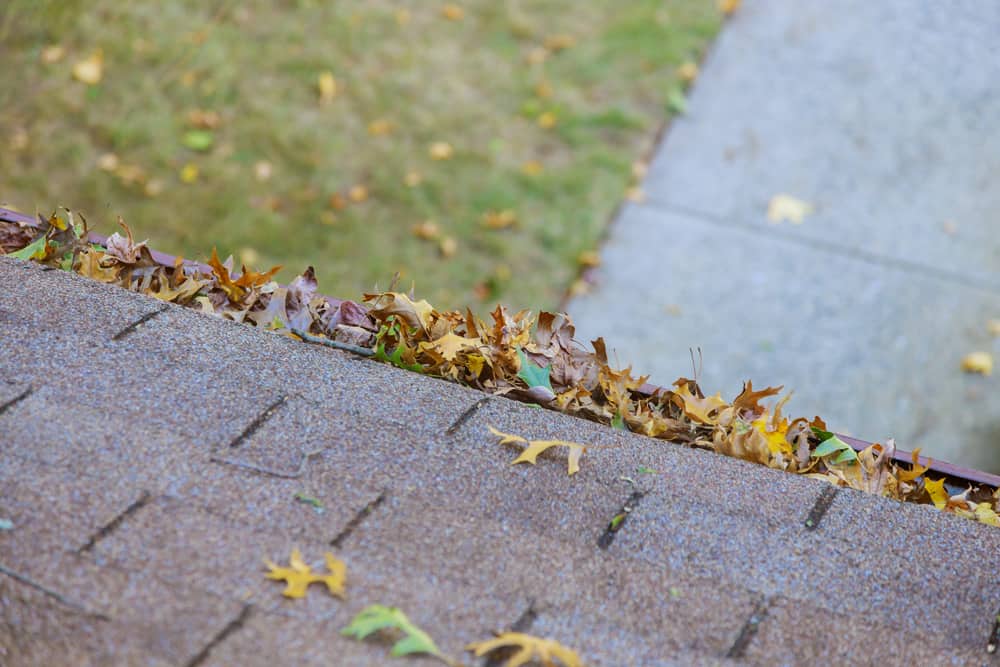 A clogged gutter can cause severe basement water damage.