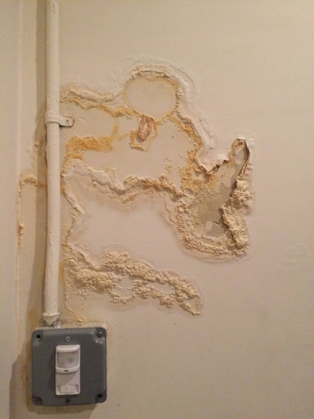 Can Walls Be Saved From Water Damage