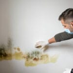 Protect-your-family-from-Mold-danger-768x432-1