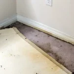 Can Carpets Be Saved After A Flood?