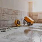 DIY-Vs-Professional-Water-Extraction-1