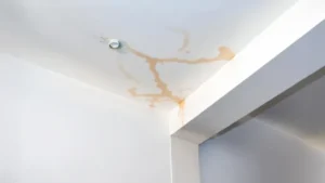 First-Signs-of-water-damage-on-Ceilings