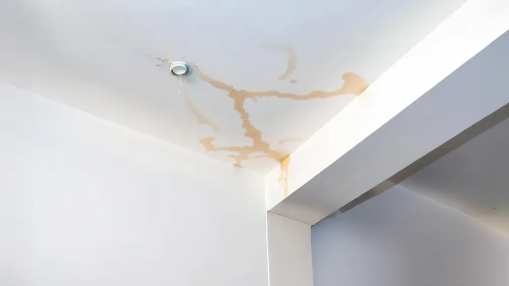 First-Signs-of-water-damage-on-Ceilings