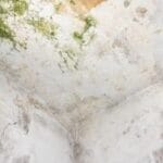 Tips-for-Handling-Mold-and-Water-Damage-in-a-Rental-Property-300x200-1