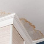 5 Signs You May Have A Leak That Needs Detection