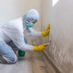 How Do Professionals Remove Mold?
