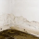How Does Water Damage Your Basement?