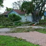 Let The Professionals Remove Fallen Trees