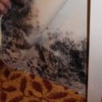 MoldHealthProblems-1