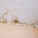 Preventing Water Damage From Your HVAC System