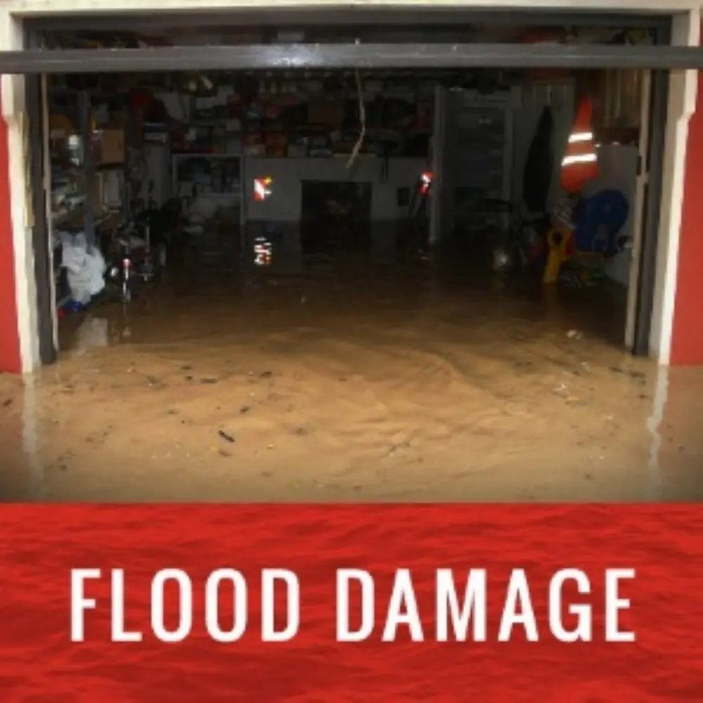 WaterDamageInspection