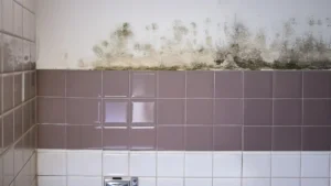 Why-Milwaukee-Homes-Are-Prone-to-Mold-Growth