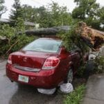 5 Things You Need to Know About Fallen Tree and Debris Removal