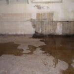 Avoid Attempting Your Own Basement Water Damage Cleanup