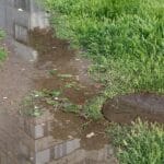 Sewer Damage Could Wreak Havoc On Your Home In These Ways