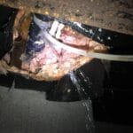 Call In The Professionals To Repair & Restore Your Property