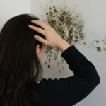 How-Fast-Does-Mold-Grow-After-Water-Damage