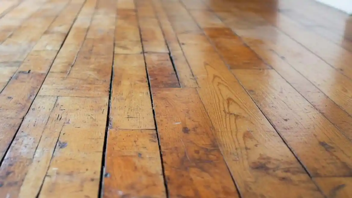 How-to-Fix-Water-Damaged-Wood-And-When-to-Call-the-Pros-1