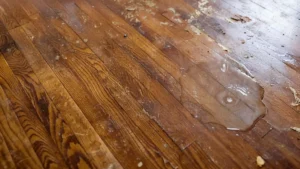 How-to-repair-water-damaged-wood