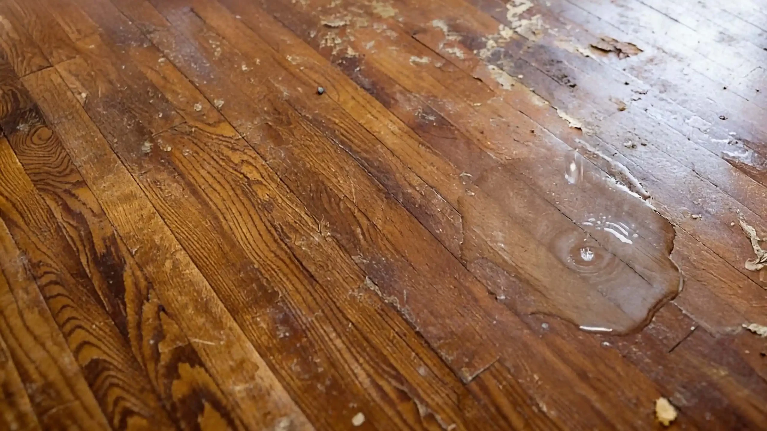 How-to-repair-water-damaged-wood