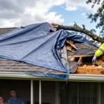 What Happens After A Tree Punches Through The Building Envelope During A July Storm