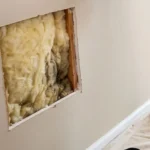 When Mold Testing Isn’t The First Step: What Wisconsin Property Owners Actually Need To Fix First