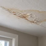 What Does a Ceiling Leak Look Like? Early Signs to Catch