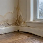 Does Water Damage Get Worse Over Time?